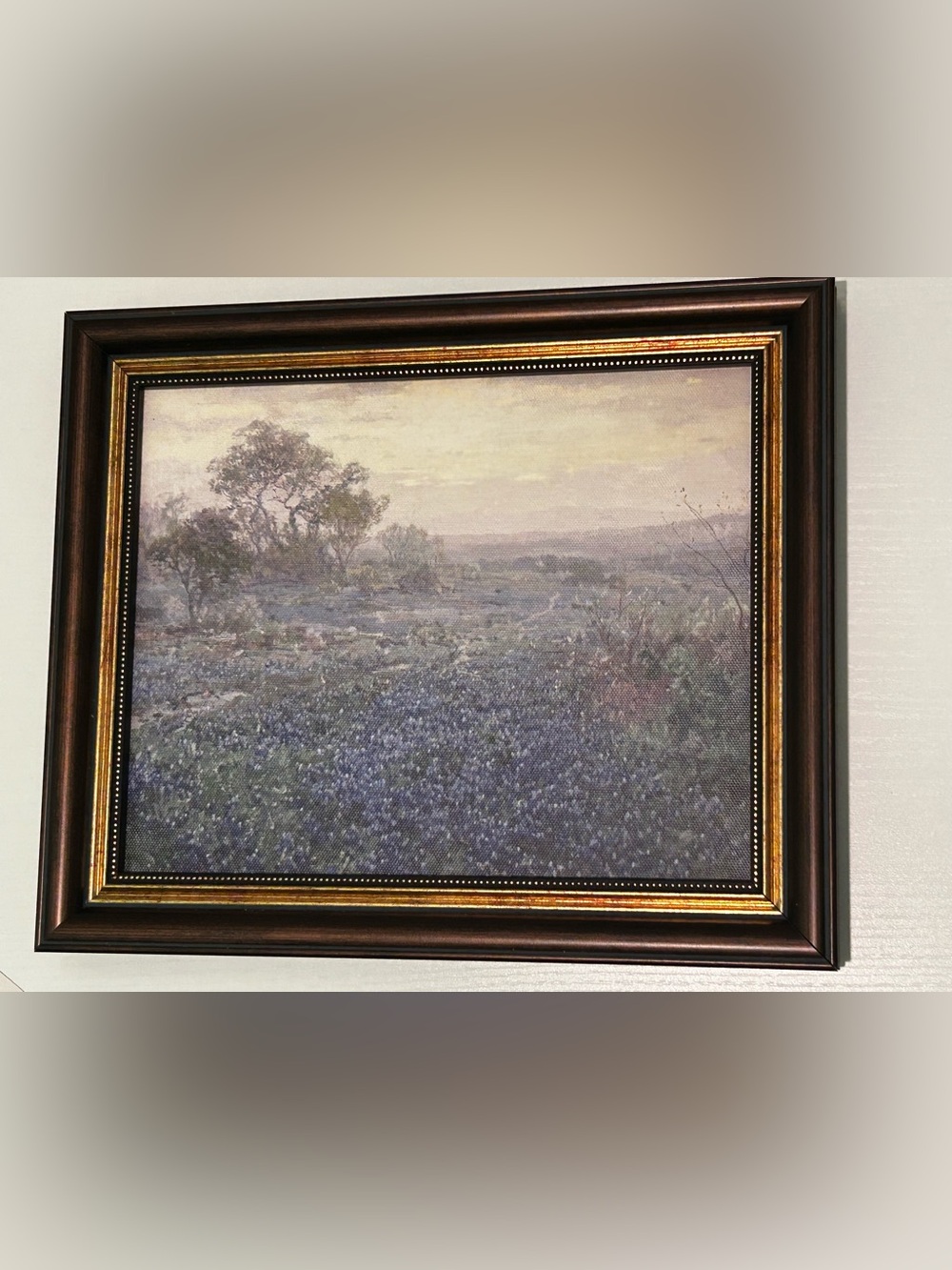 DAJONART Blue Flower Framed Canvas Wall Art 18x14 NEW